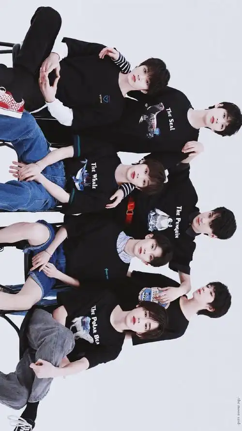 tnt - 堆糖,美图壁纸兴趣社区