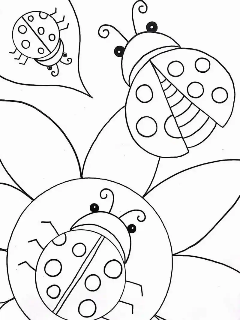 幼儿园简笔画涂色