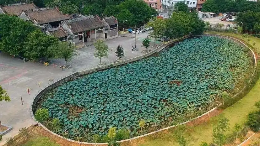 从"尧仔"的小康生活,看番禺钟村的大变化