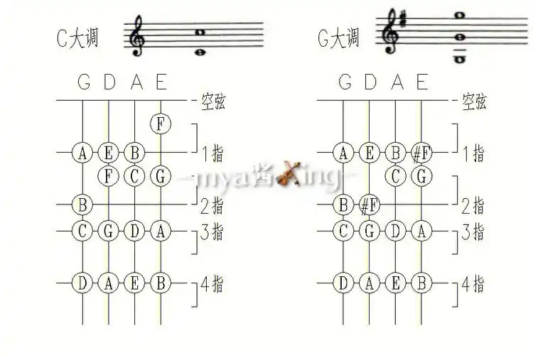 超全小提琴11个大调指位图汇总