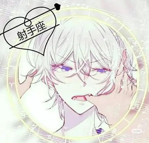 十二星座射手座头像男