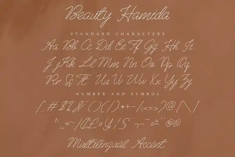 beauty hamida超细画笔连写草书英文手写字体