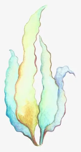 卡通手绘风格海底世界海草装饰元素