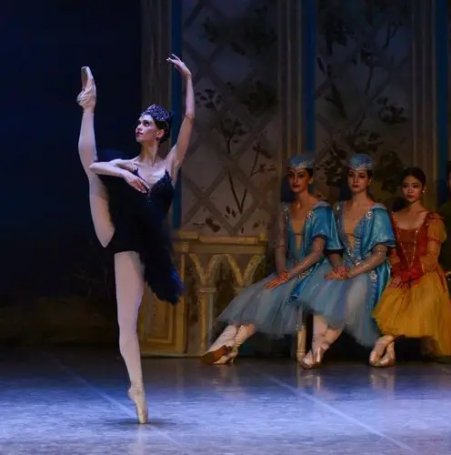 俄罗斯芭蕾舞团天鹅湖黑天鹅舞蹈特辑