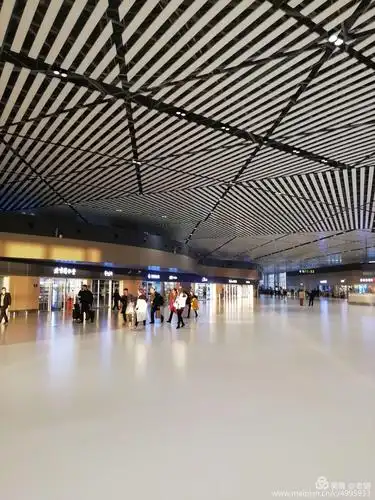 旅游出行哈尔滨太平机场候机