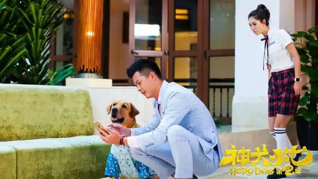 神犬小七第二季