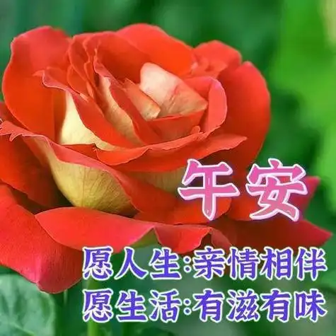 中午好图片大全中午好问候中午好祝福