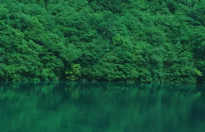 唯美九寨沟自然风景图片桌面壁纸高清大图预览1440×900_风景壁纸下载