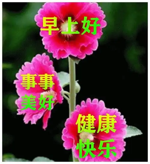 春天早上好暖心语录祝福图片大全,很有创意的早安精美图片带字__财经