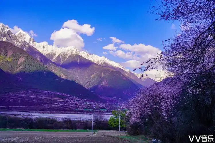 西藏波密桃花沟