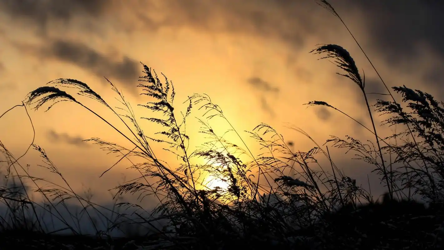 靓丽的自然风景高清宽屏桌面壁纸.