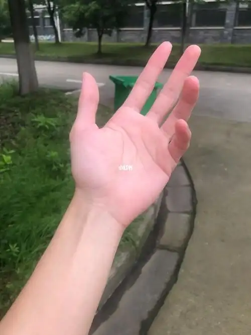 手指长的男生会加分吗