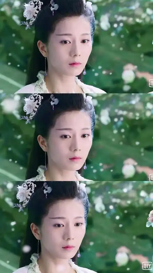 《香蜜沉沉烬如霜》长芳主