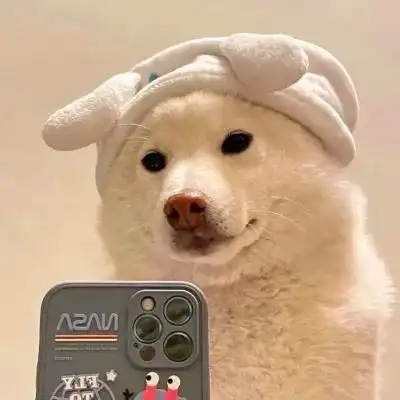 2023最新头像可爱呆萌宠物图片_动物头像_头像屋