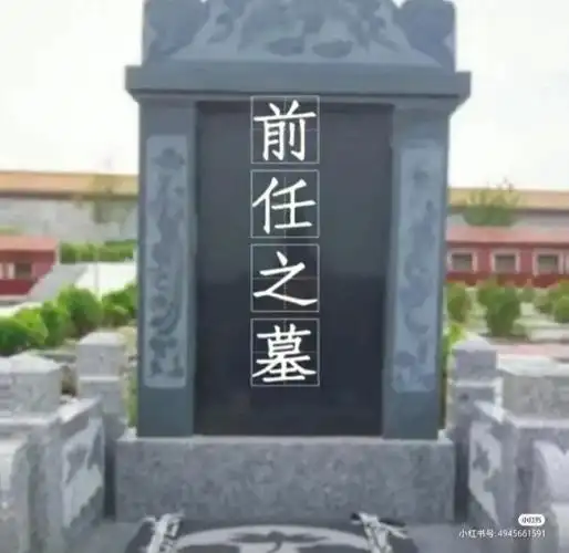 原来我就是那个替代品啊