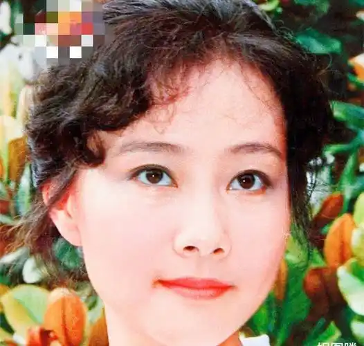 因《渴望》走红的黄梅莹,与丈夫恩爱38年儿子成了导演-第3张图片-教育