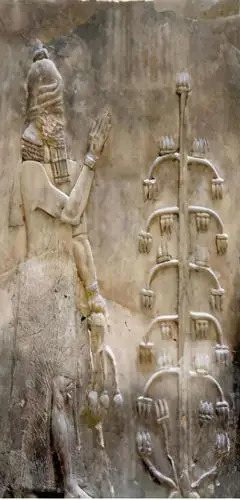 图(11)国外神树图片