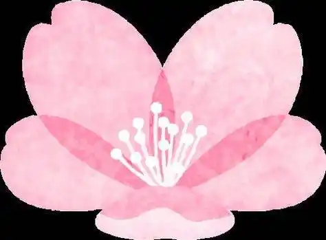 你好大自然第280期星苹果