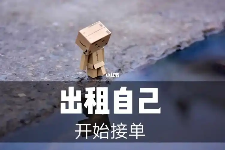 出租自己欢迎联系