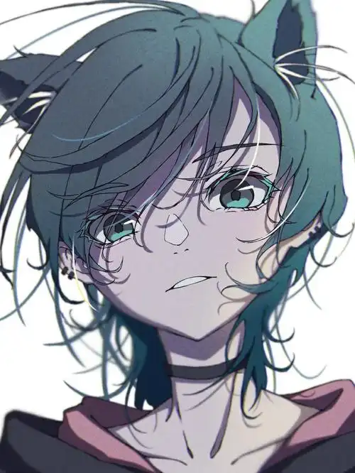 p站美图推荐——狼尾发特辑-动漫之家新闻站