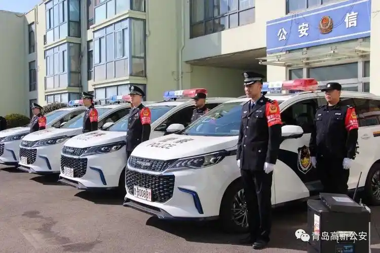 安保_警车_管委