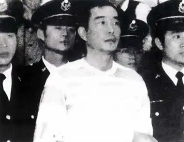 1984年黑帮的一次暗杀行动终结蒋家政权蒋经国蒋家不再继任