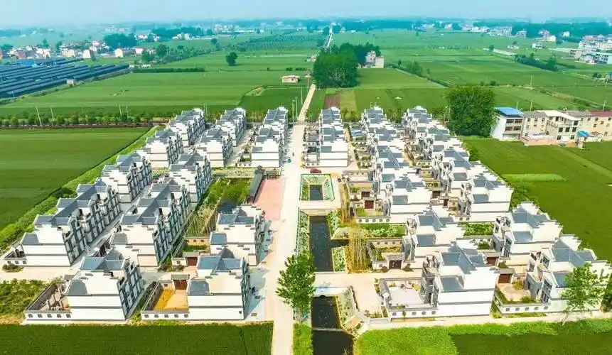 安徽阜阳五老为乡村振兴助力赋能