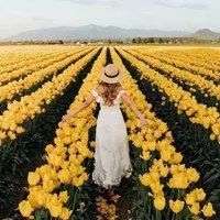 漫步花海的女生背影头像想和你漫步在花海之中