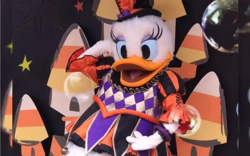 上海迪士尼 黛丝 daisy 唐老鸭不在 单独营业也要美美的