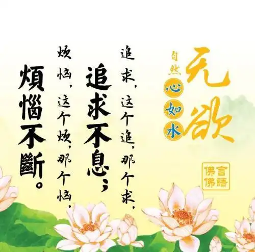 佛教经典口头禅 佛教经典语句-暗点博客