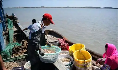 实拍,渔民辛苦出海一天能有多少收获.