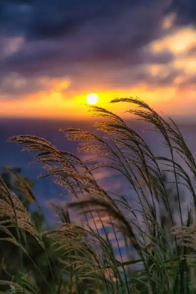 适时调整自己的心态,从容淡定的过好每一天.