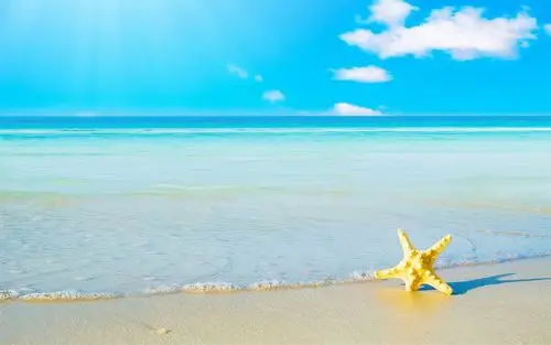 小清新清爽简洁电脑桌面壁纸