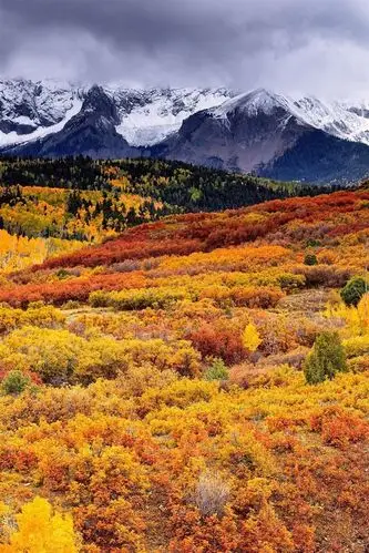 壁纸 美丽的秋景,森林,山,云 2560x1600 hd 高清壁纸, 图片, 照片