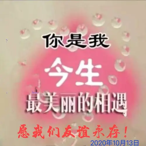 真情永远,情系西安!