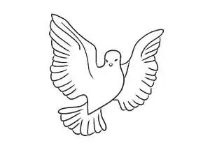 和平鸽简笔画图片