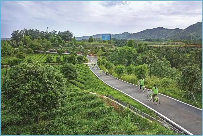 长沙县金井镇金龙村着力建设"宜居宜业宜游"健康幸福家园