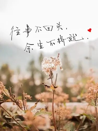 往事不回头,余生不将就.