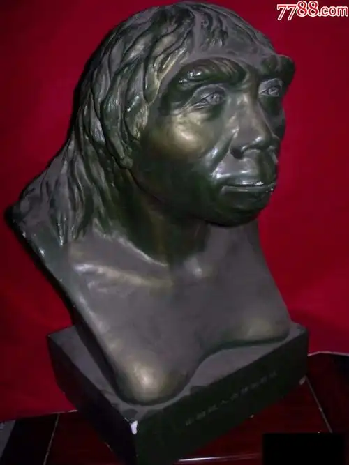 雕塑人像雕塑老旧物件中国猿人女性猿原像石膏雕塑头像