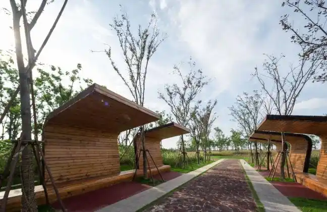 串联功能,营造景观.看临港新片区的公园绿地怎样"出道"