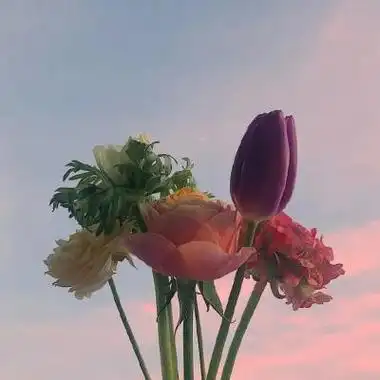 决定放弃你以后 我就不会 回头_风景静物头像_我要个性网