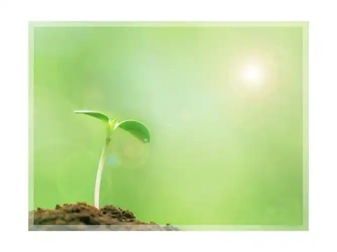 (打印版)超级唯美的ppt背景图片(制作ppt必备).ppt