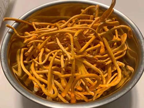 哺乳期可以吃北风菌茶树菇鸡油菌虫草花猴头菇雪茸姬松茸鸡枞菌竹荪羊