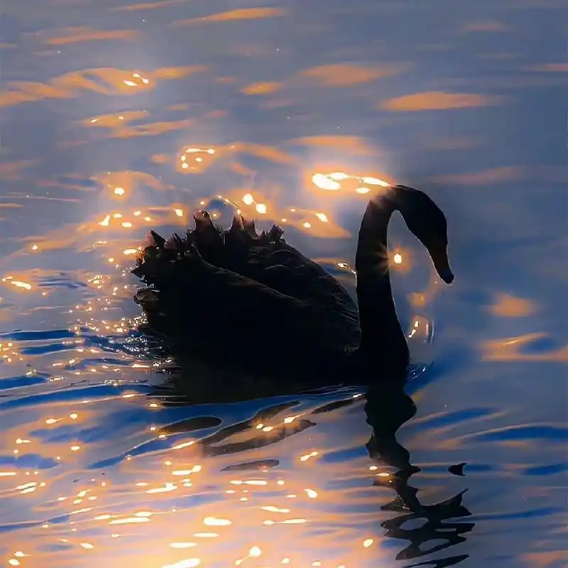 ins风朋友圈背景图,时尚潮流  幼稚的人喜欢听情话,沉醉于甜言蜜语;而