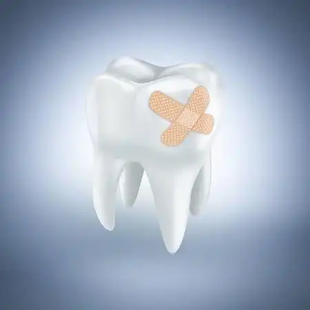 牙齿图片_图片大全