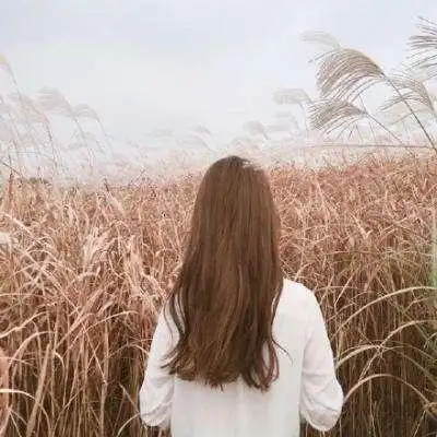 图片大全微信头像背影女生女生用的微信头像背影女头像唯美有气质背影