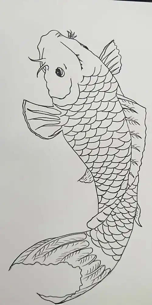 手绘锦鲤过程分享 - 简书