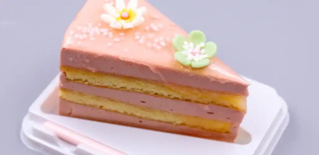 透明防雾pet西点慕斯草莓芒果小西点蛋糕盒厂家直销