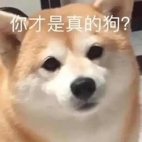 搞笑表情包|微笑中透露着肥胖!