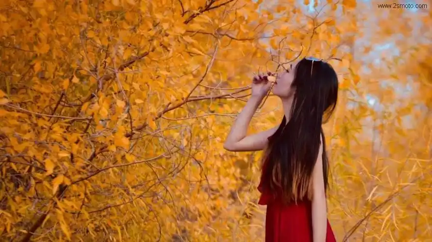 抖音上那些网红女骑士们的座驾都是什么车型